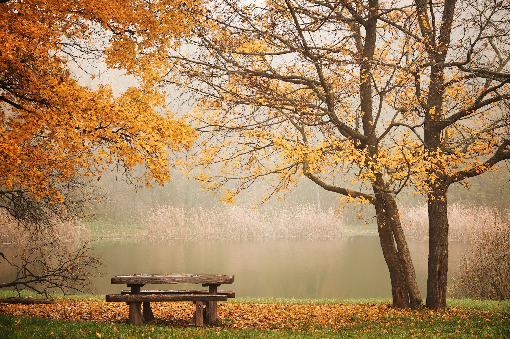 Bench autum park and lake